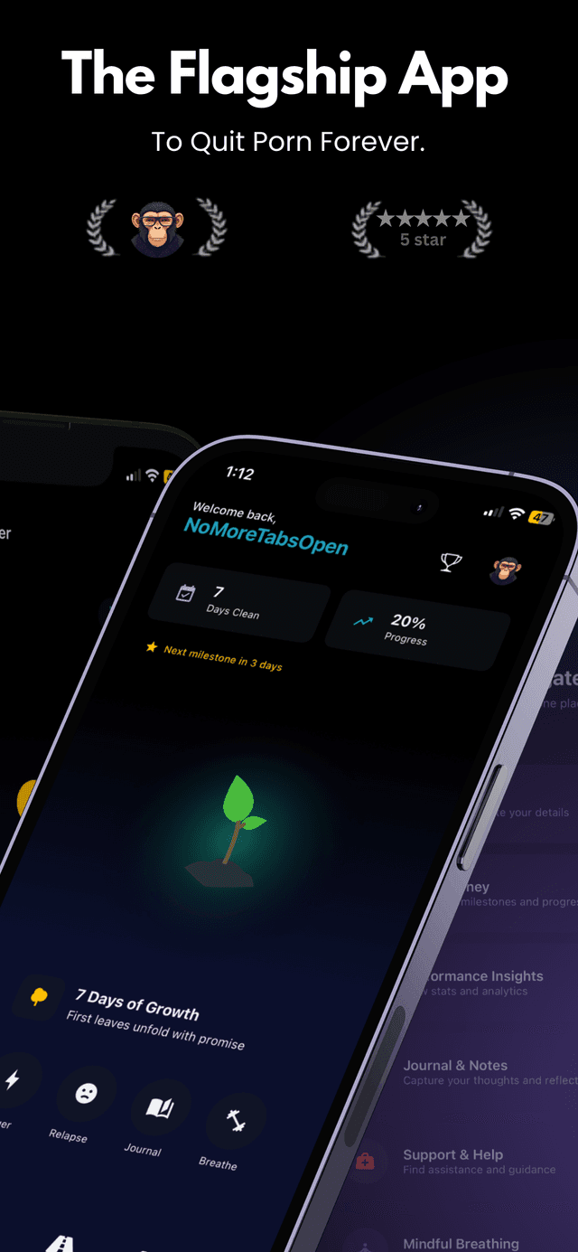 Your Dashboard, Your Journey